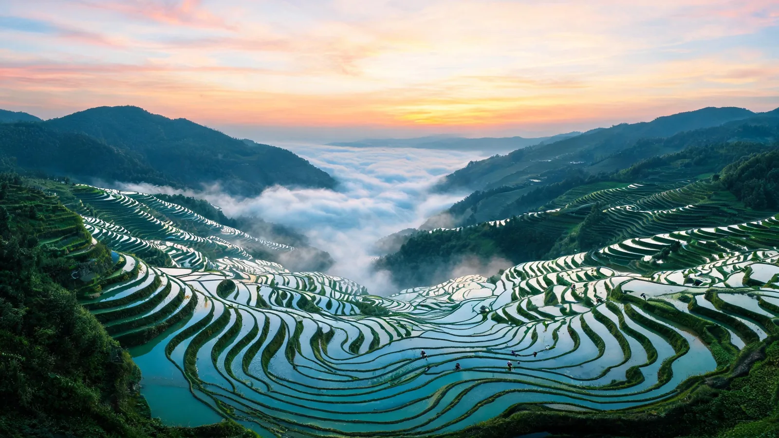 Aerial view of rice terraces at sunrise, generated with Seedream 5.0 Lite